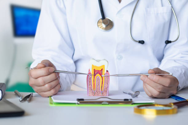 Best Emergency Dental Care for Sports Injuries in Gold Hill, OR